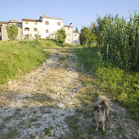 Marjeta